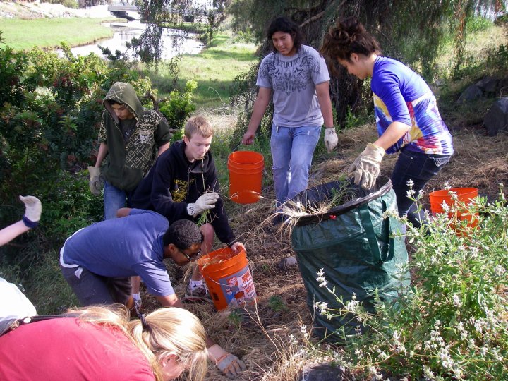 Mission Bay High School Students Removing Non-Native Plants