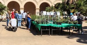 Photo of prior year plant sale