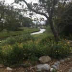 Photos of Nave Plant Garden