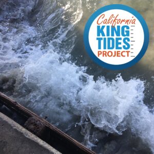 King Tides Logo over photo of ocean
