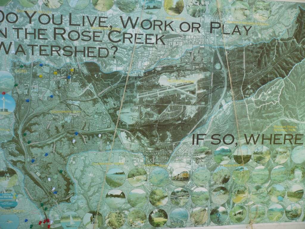 Rose Creek Fest a Huge Success – Friends of Rose Creek