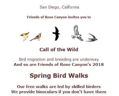 Bird walk information