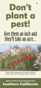 cover of Don't Plant a Best Brochure