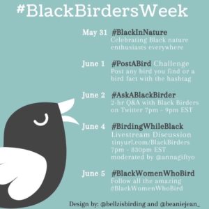 Image of Black Birders Week Schedule