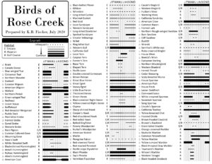 Can you find these birds at Rose Creek? – Friends of Rose Creek