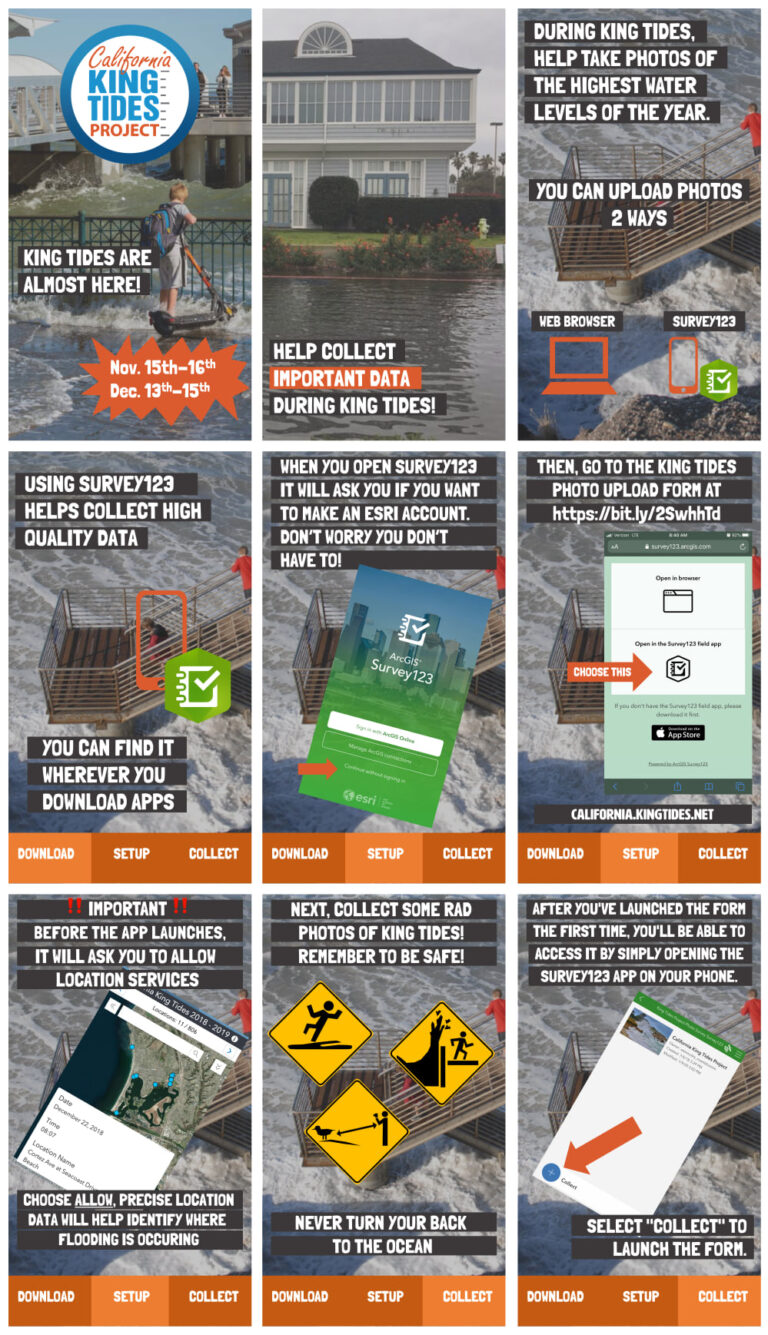 California King Tides Project Friends of Rose Creek