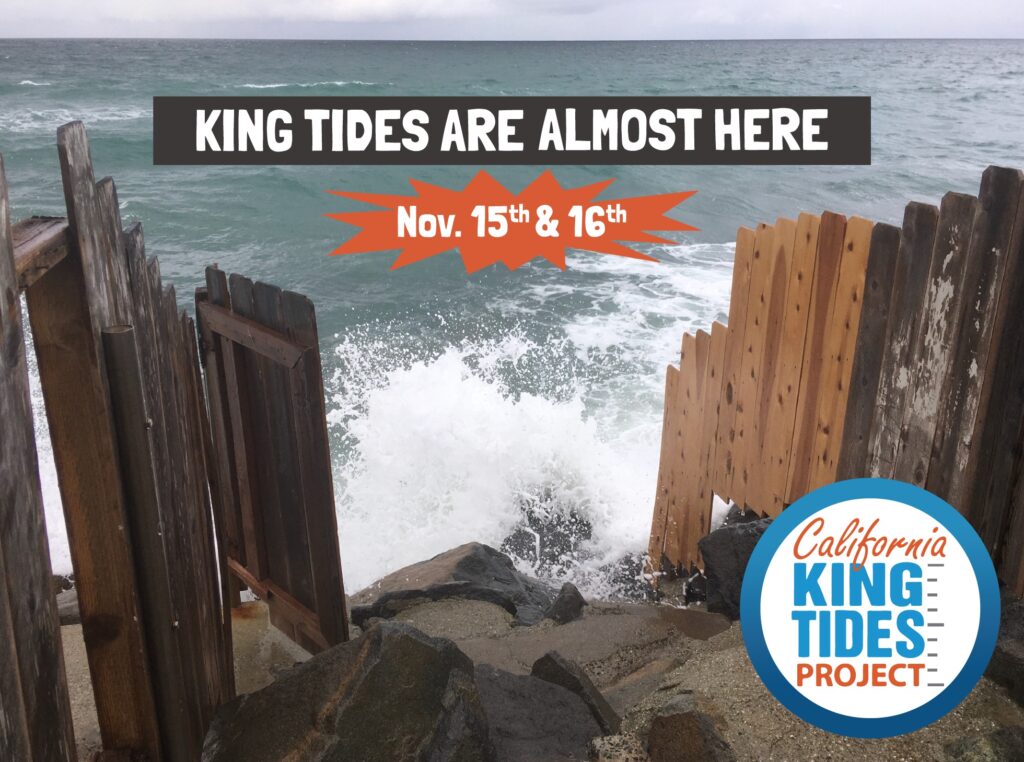 King tides poster