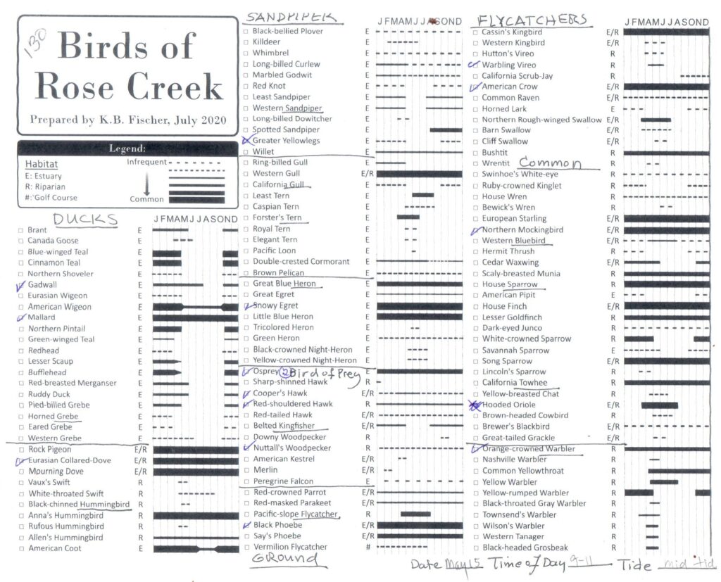 Kyle's Bird list 20210515