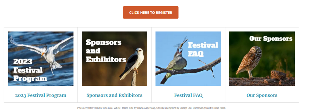 image of bird festival website.