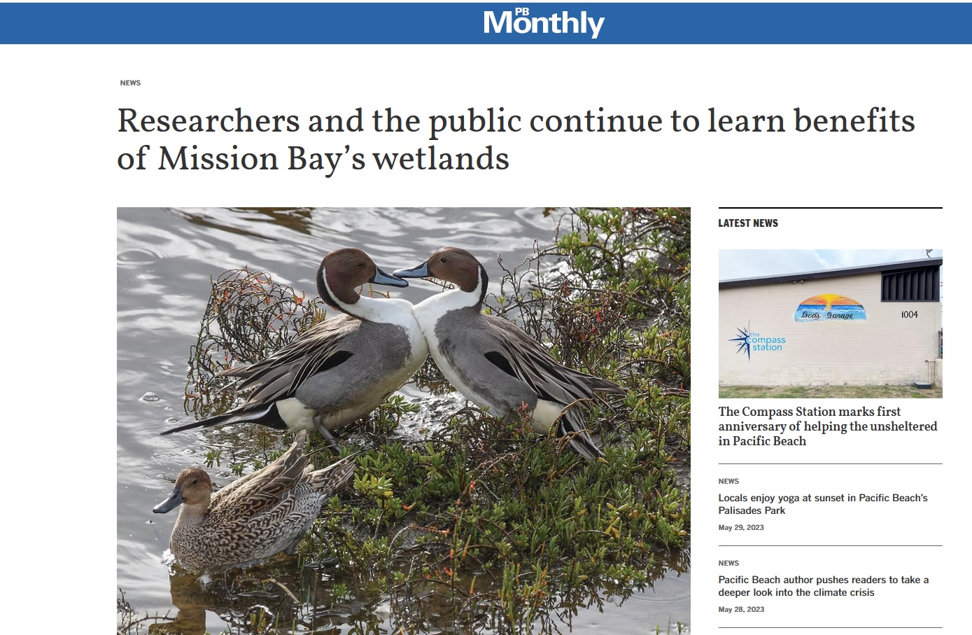Screenshot of PB Monthly article on wetlands