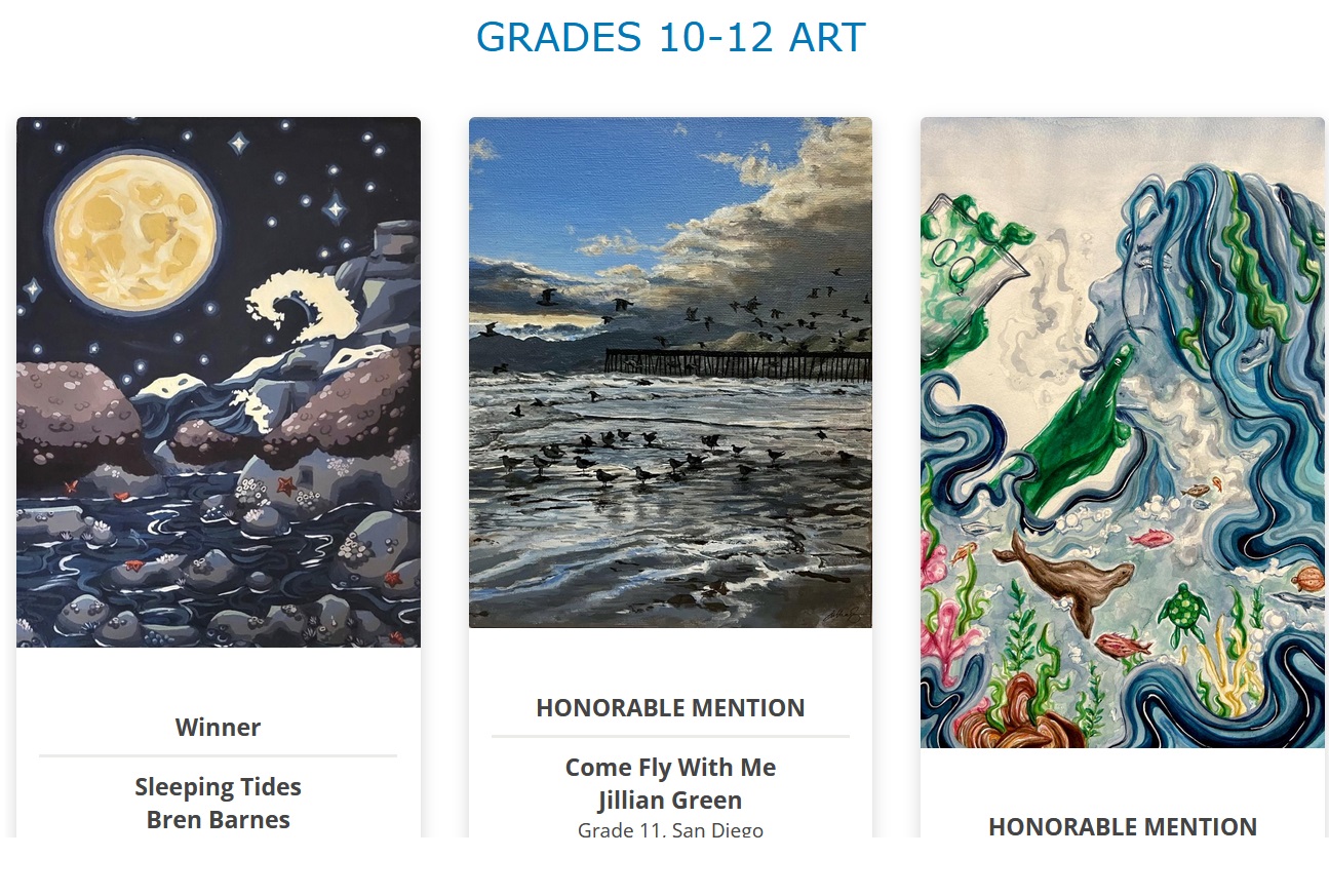 Screenshot of website highlighting the art and poetry of the winners.