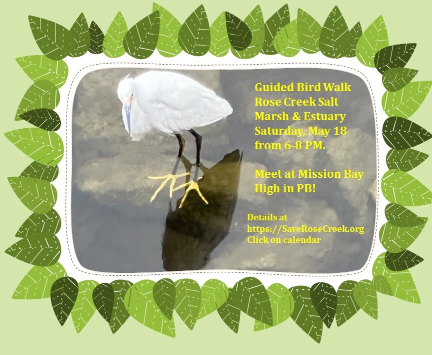 May Bird Walk along Rose Creek – Friends of Rose Creek