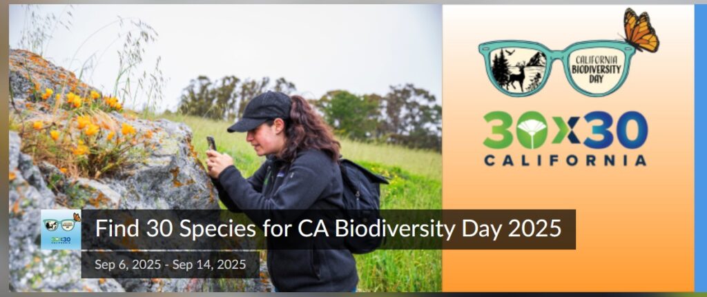 Biodiversity Day flyer.