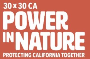 Power In Nature logo