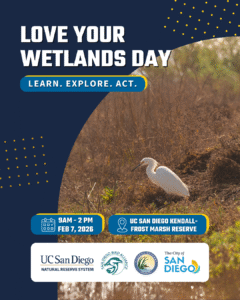 Love Your Wetlands Day Flyer
