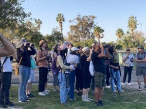 Birders in action at Rose Creek