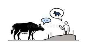 Human and buffalo communicating