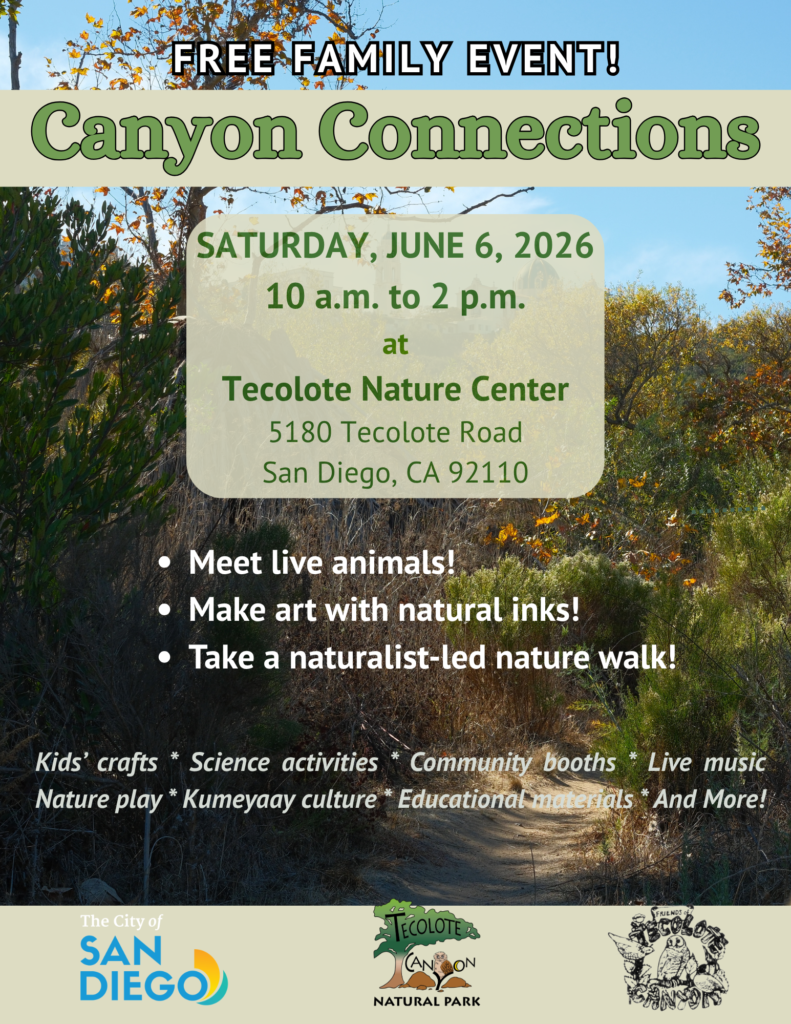 Event Flyer