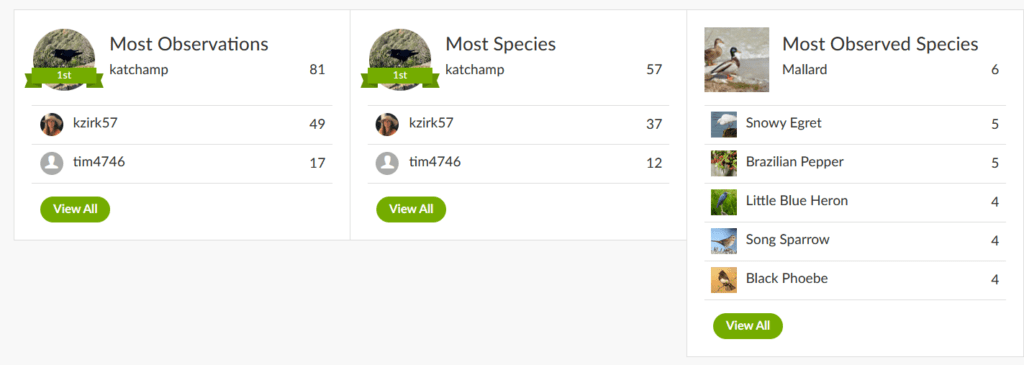 Screenshot of iNaturalist results. Click on image to be taken to the iNaturalist page